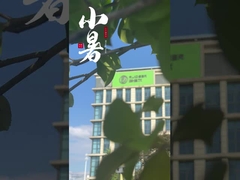 Fornecedores chineses de fornos de sinterização a vácuo